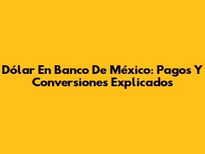 Dólar En Banco De México: Pagos Y Conversiones Explicados