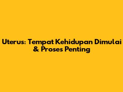 Uterus: Tempat Kehidupan Dimulai & Proses Penting